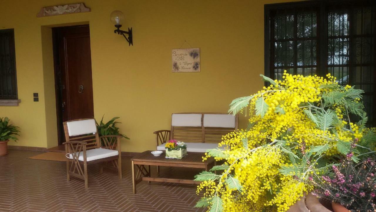B&B La Vigna Di Federico Rubano Εξωτερικό φωτογραφία
